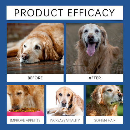 Yegbong Trace Element Tablets For Elderly Dogs, Nerve To Promote Overall Health Calcium Supplement Elderly Dog Care Calcium Tablets